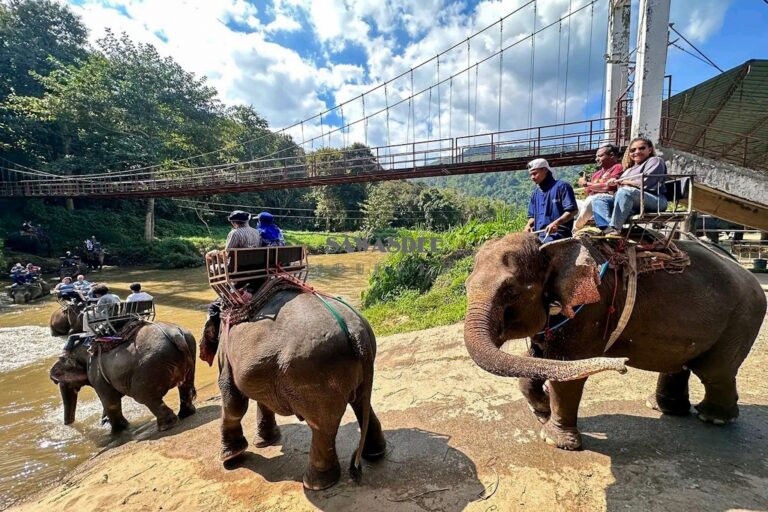 Golden Lanna Heritage & Northern Thailand Discovery